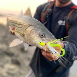 bucktail peche