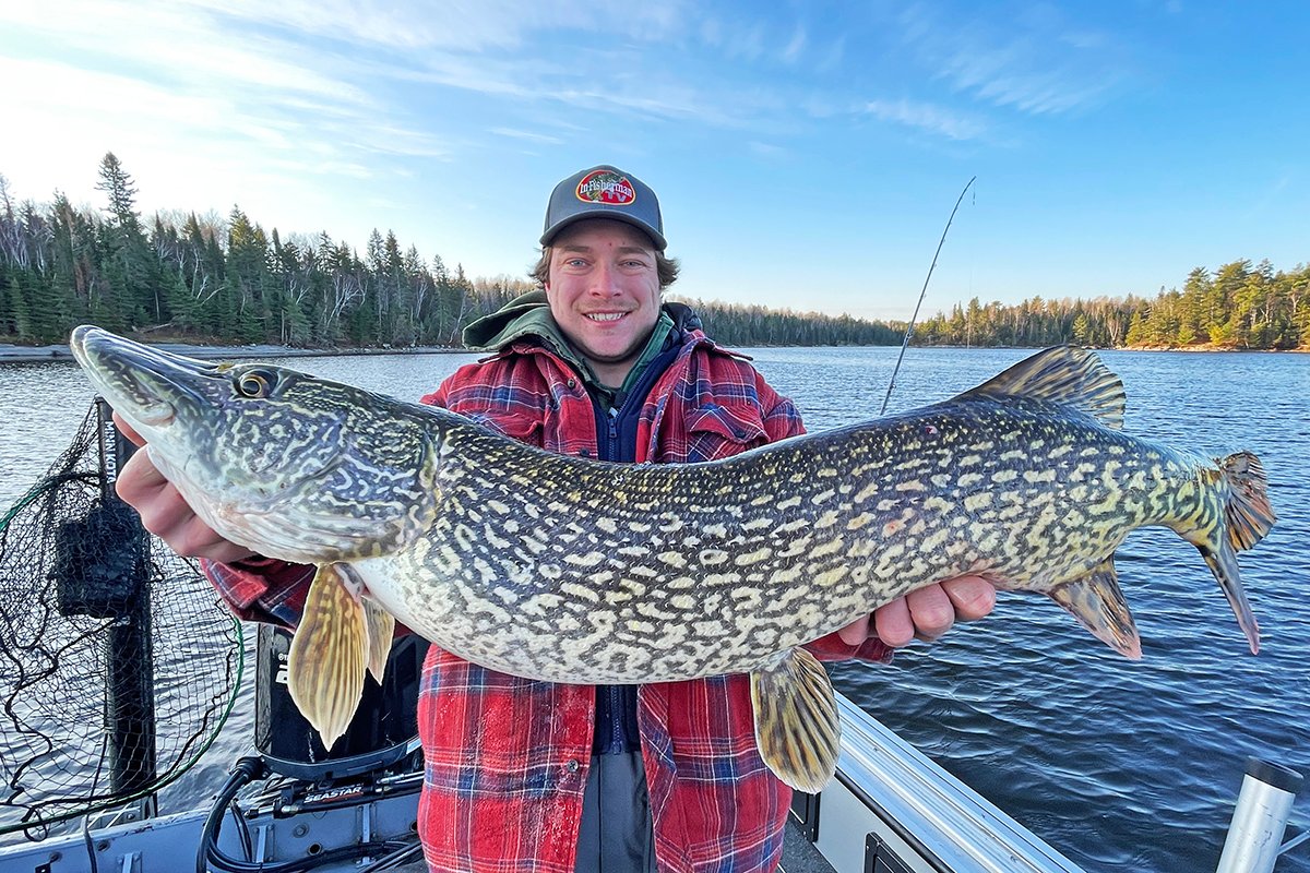 pike brochet leurre swimbait