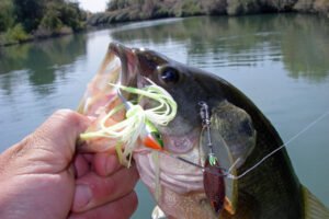 spinnerbait-bass-peche