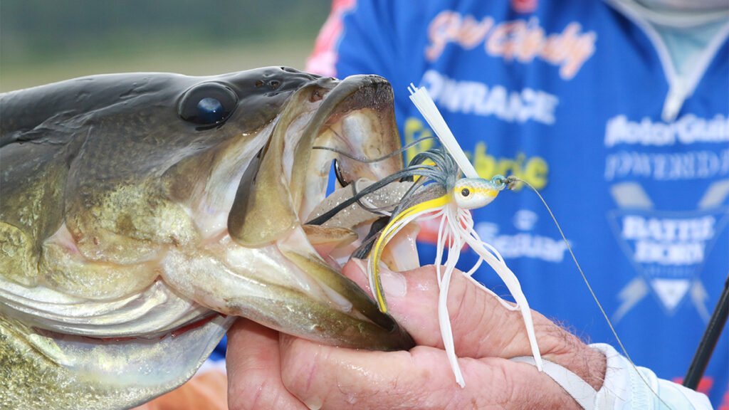 swim-jig-bass-fishing