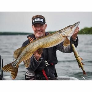 swimbait brochet leurre