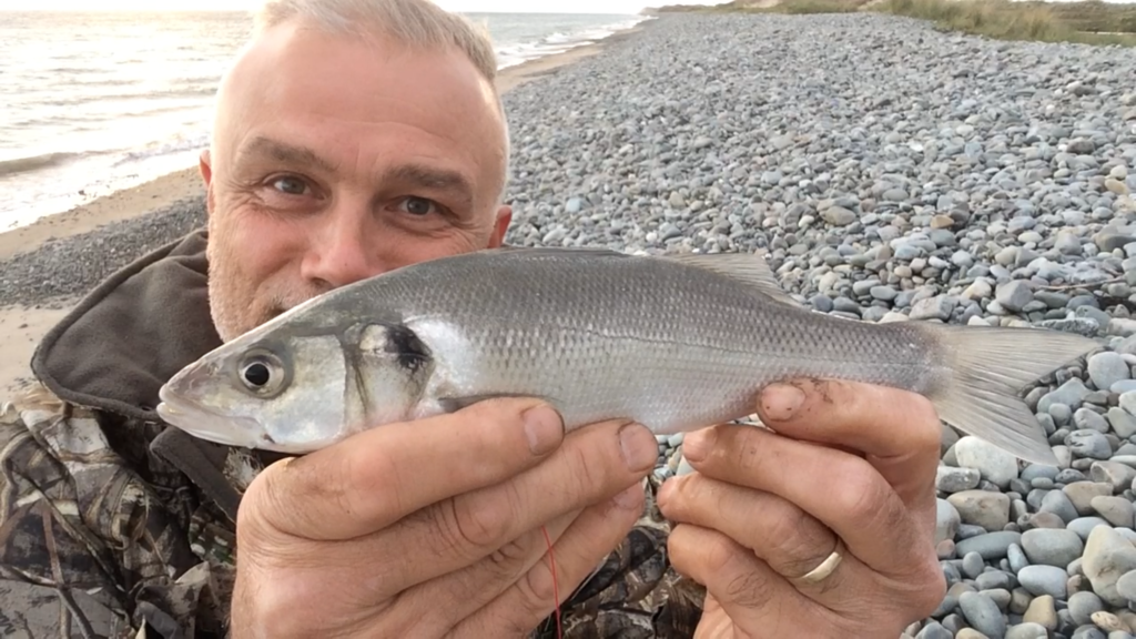 pêche du bar dans la manche