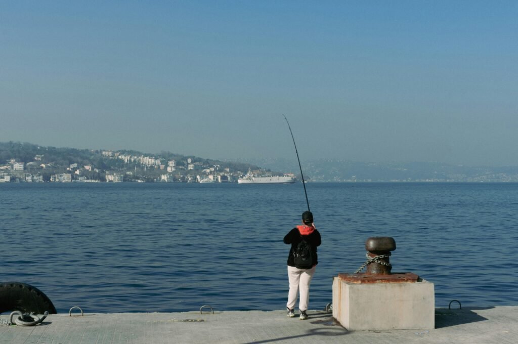 pêcher le maquereau bord de mer