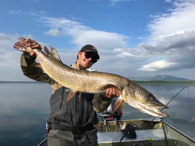 destination peche brochet