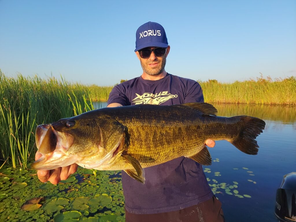 jean-christophe david black bass