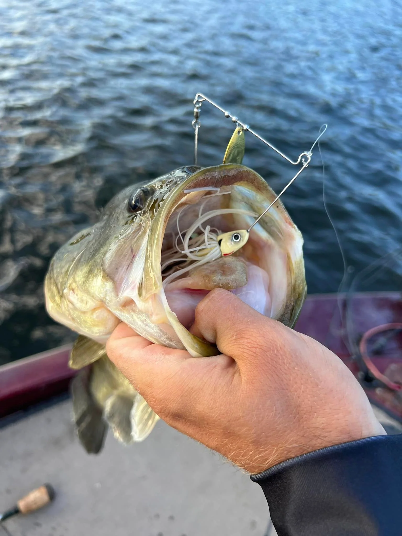 spinnerbait black bass