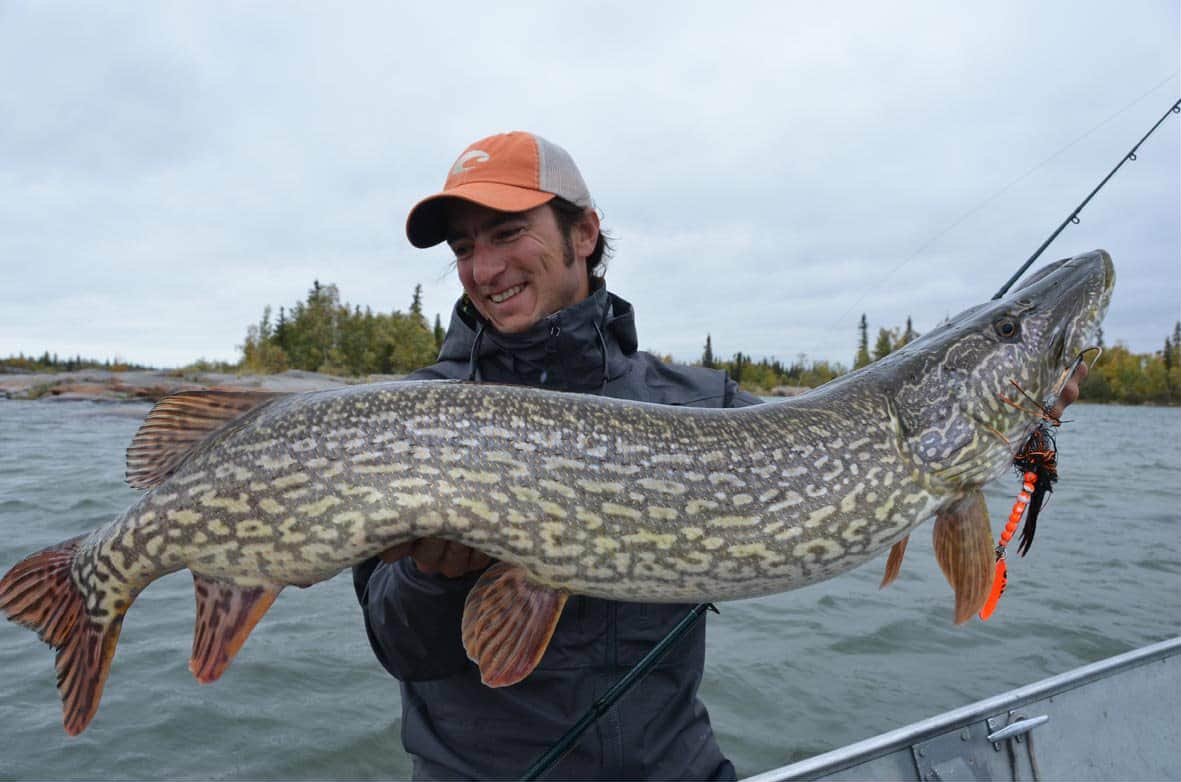 alban choinier brochet