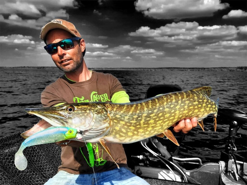 meilleur leurre brochet janvier