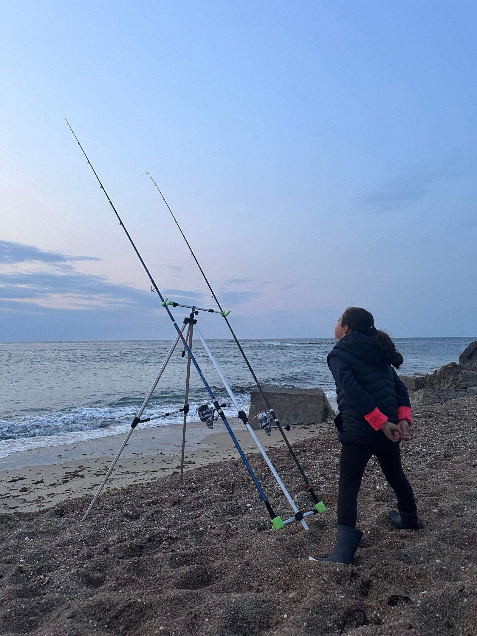 Réglementation pêche en mer 2026