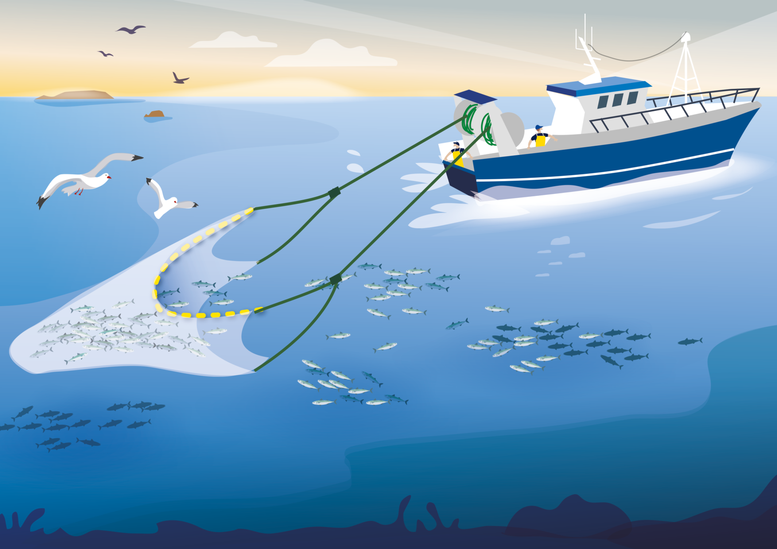 quota maquereau 2026