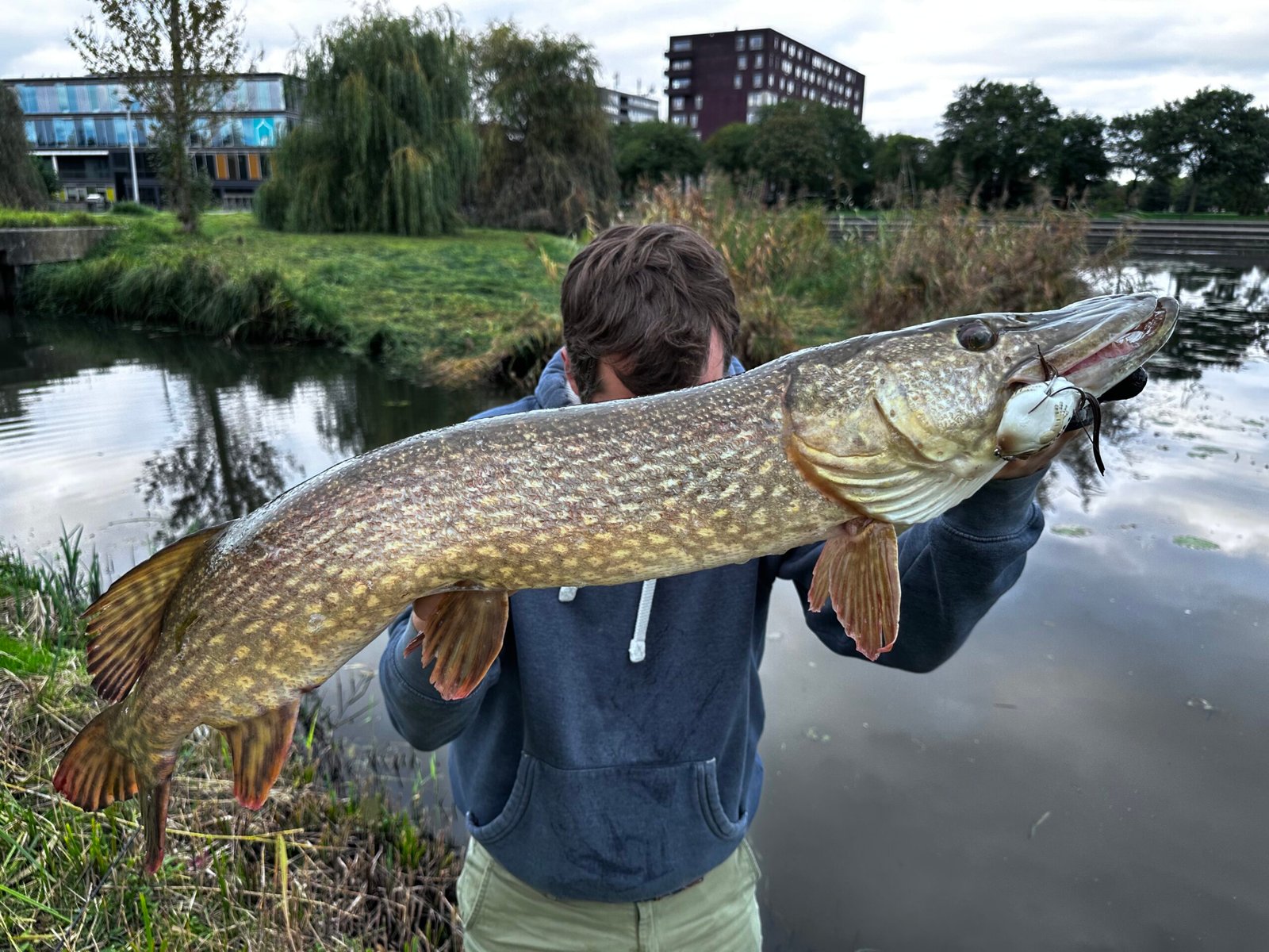 pêche brochet