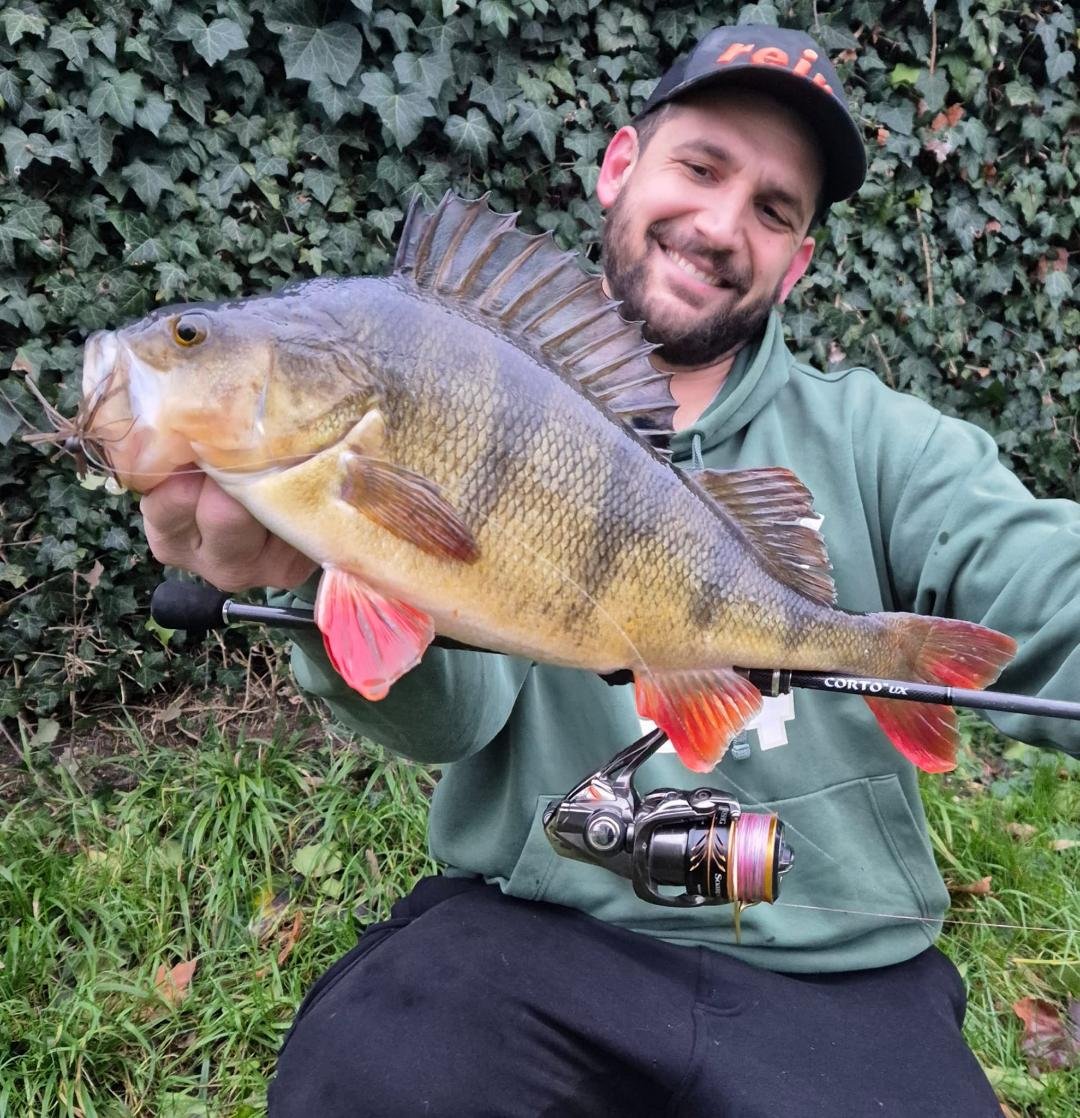 pêche de la perche du bord